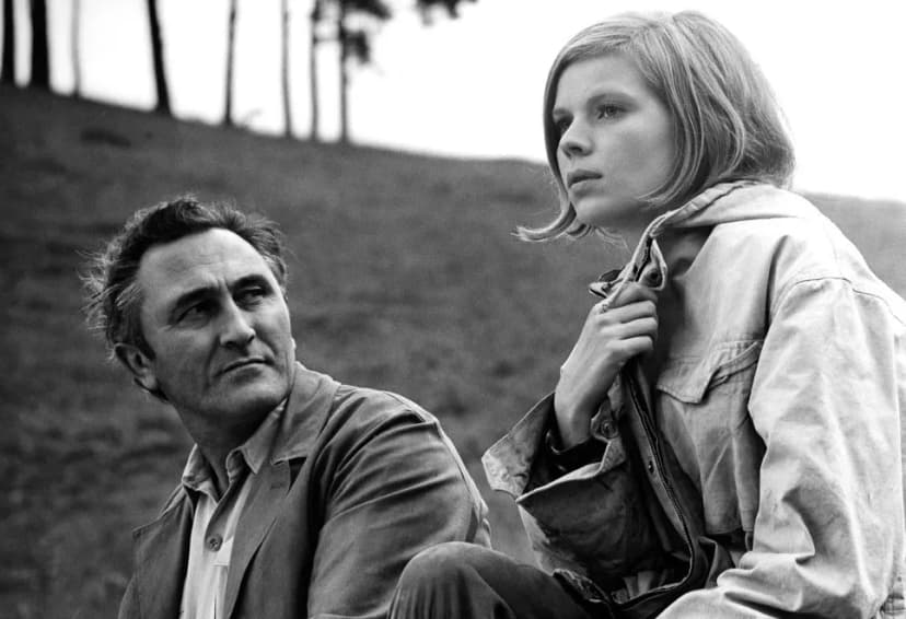 Bild von Inselkino: “Die Taube auf dem Dach” (DEFA-Film, 1973)